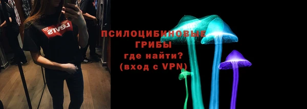 хмурый Тавда